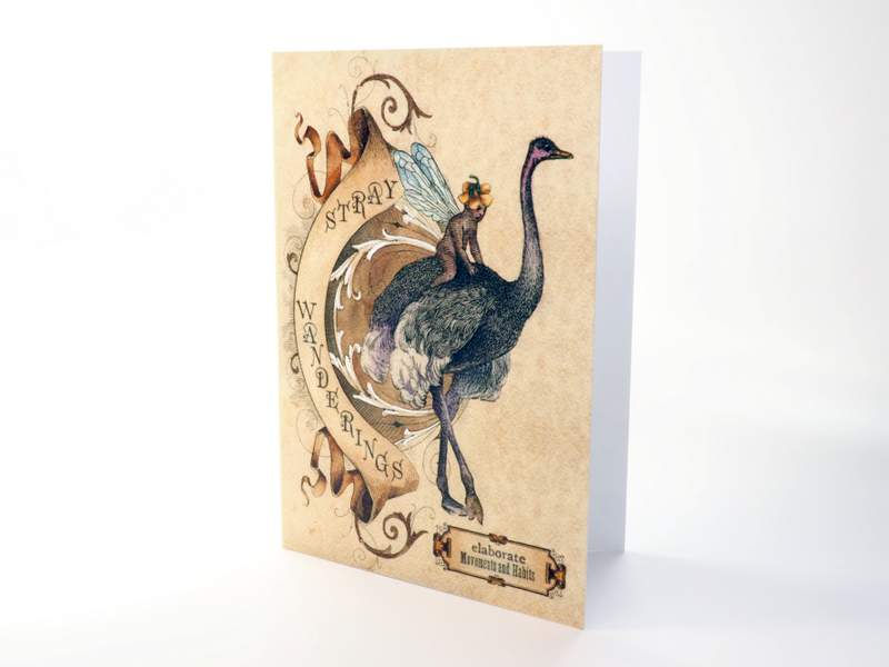 Thumbnail: Tax Exempt Card Packs | Bagatelles