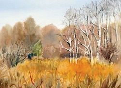 Fields and Meadows Cards Bush Road