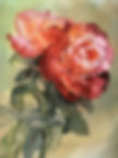 Roses Jeanette's Rose