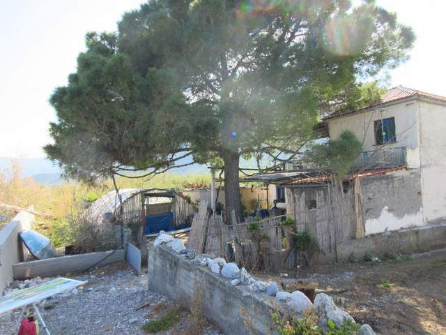 About the Paintings Greece Leonidio