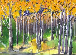 Idaho Cards Serene Little Glade