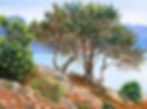 Greece | Kalymnos