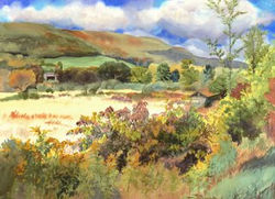 Fields and Meadows Cards Keeny Road