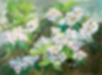 Flowers Mountain Laurel