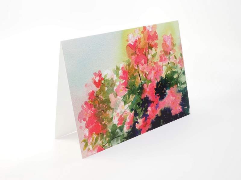 Thumbnail: Card Pack | E. M. Mills Rose Garden