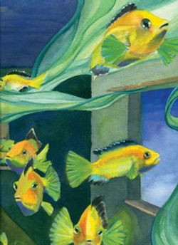 Tropical Fish Cards Silent Bobette Swimming
