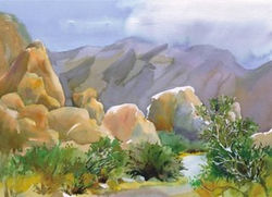 Joshua Tree Cards Indian Cove