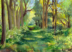 Woodlands Cards Pompey Woods
