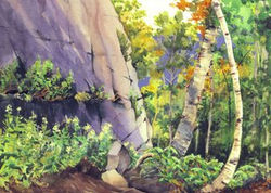 Adirondack Woods Cards Courthouse Cliff