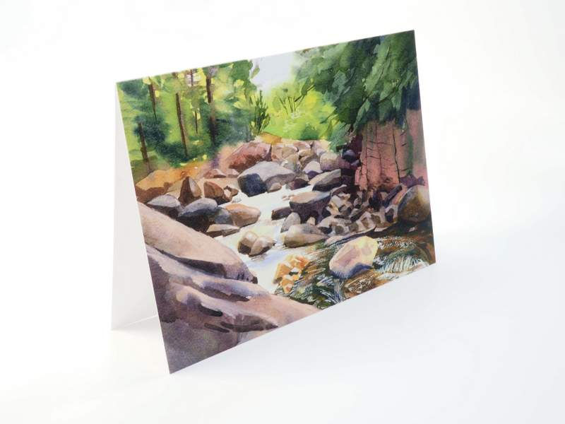 Thumbnail: Taz Exempt Card Pack | Adirondack Water