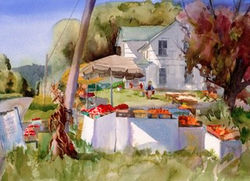 Rural Homesteads Cards Andrews Produce