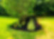 IMG_1618 (1).JPEG