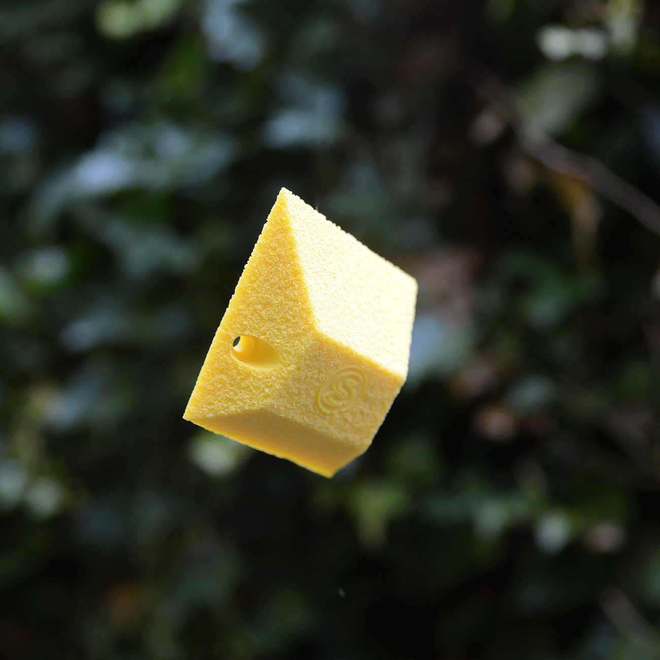 Yellow.gif