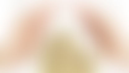 Seguro de Dinero y/o Valores