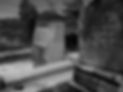 20201121_113539 a - Copy.jpg