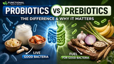 Probiotics vs prebiotics: what’s the real difference and why it matters more than you think for your gut health.
