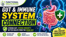 How your gut controls your immune system — microbiome health, inflammation, leaky gut, and immune strength explained with visual digestive system illustration