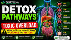 Detox pathways explained: signs of toxic overload, how detox works, and natural strategies to support liver, kidneys, and lymph.