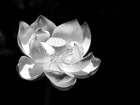 The darkness from which all things come.