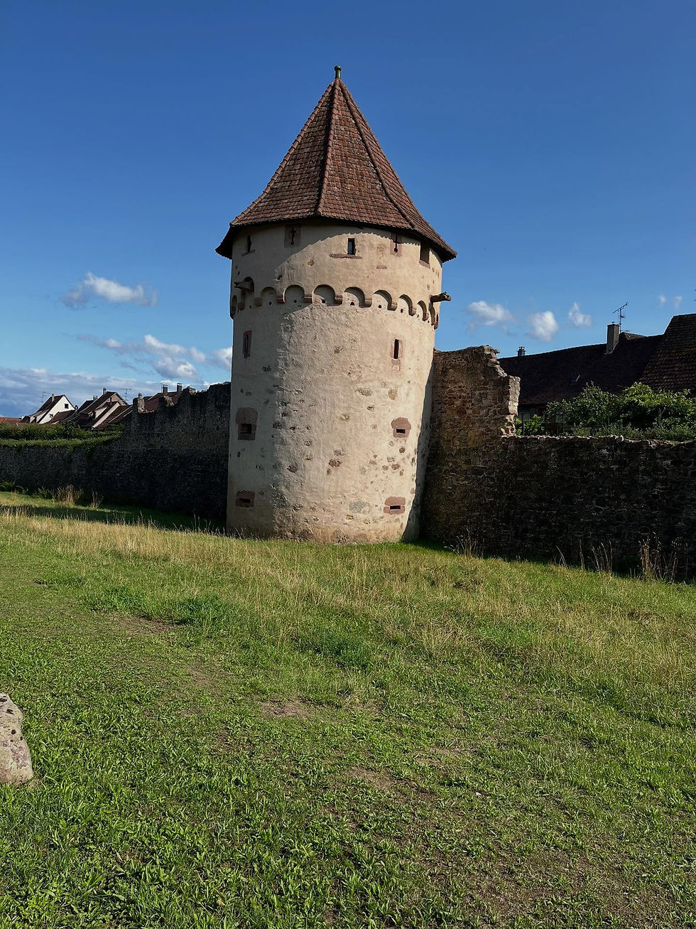 Le pigeonnier du XIVème