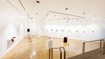 Solo Exhibition: Hartnett Gallery @ University of Rochester