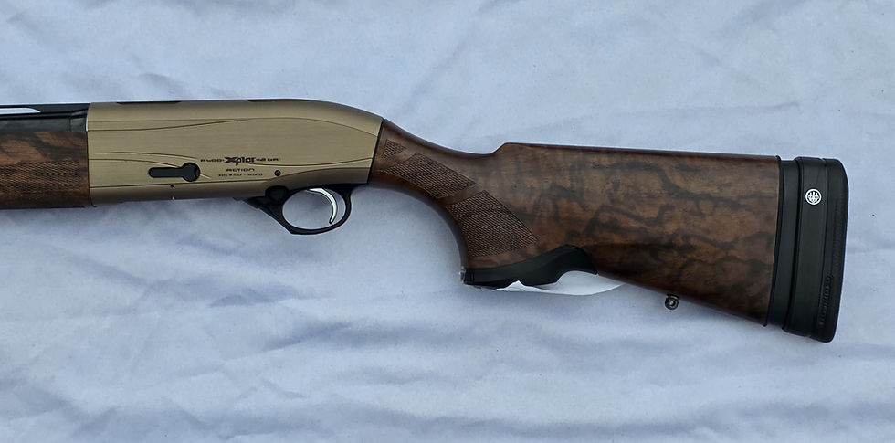 Thumbnail: Beretta A400 Action