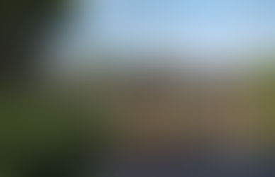 Return to nature - Lakeside Views & Off-Grid Cabins