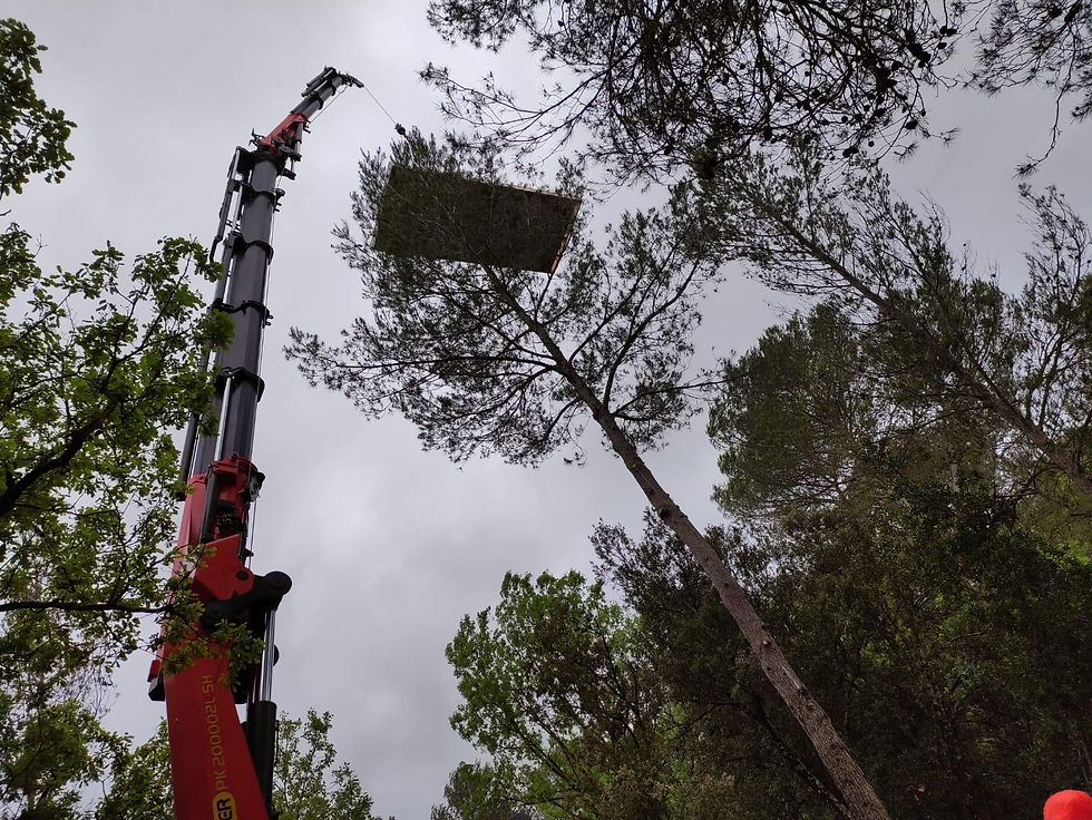 CHANTIER FERTE/COLLET