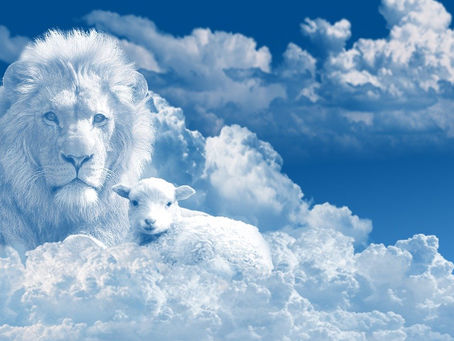 UNA TECNICA… DIVINA.