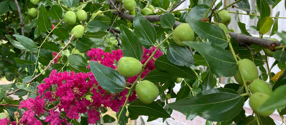 夏期講習と夏期休業