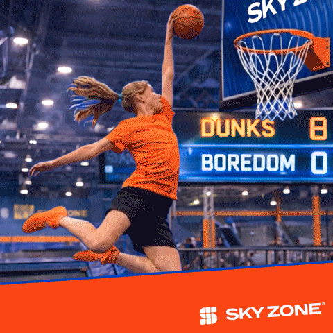 SkyZone_GIF_A1.gif