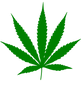 weed-png-hd-weed-20symbol-20png-2000.png