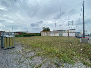 Herbe coupée après