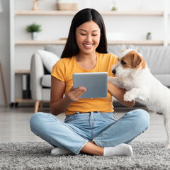 Prise de contact avec chien