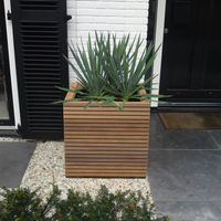 Bac plantes