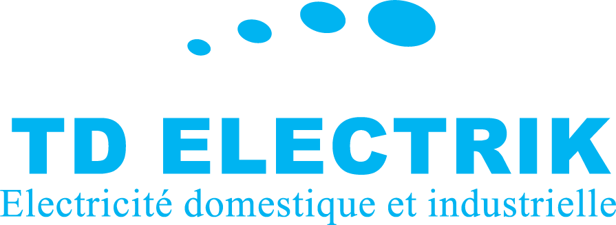 TD ELECTRIK