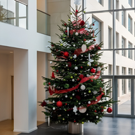 Sapin de Noël