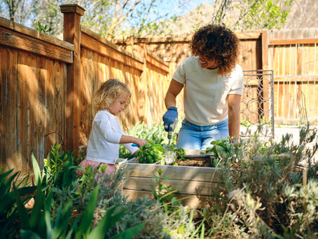 Quelques idées d'aménagement de jardin