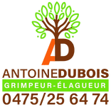 Logo Antoine Dubois