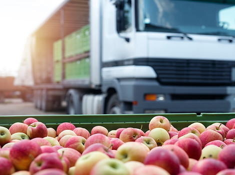 Transport de fruits dans un camion