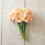 Thumbnail: Fragrant Narcissus- 10 stem bunch