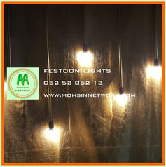 Festoon Lights Rental
