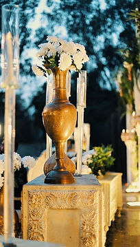 WhatsApp Image 2026-02-01 at 9.36.11 PM.jpeg