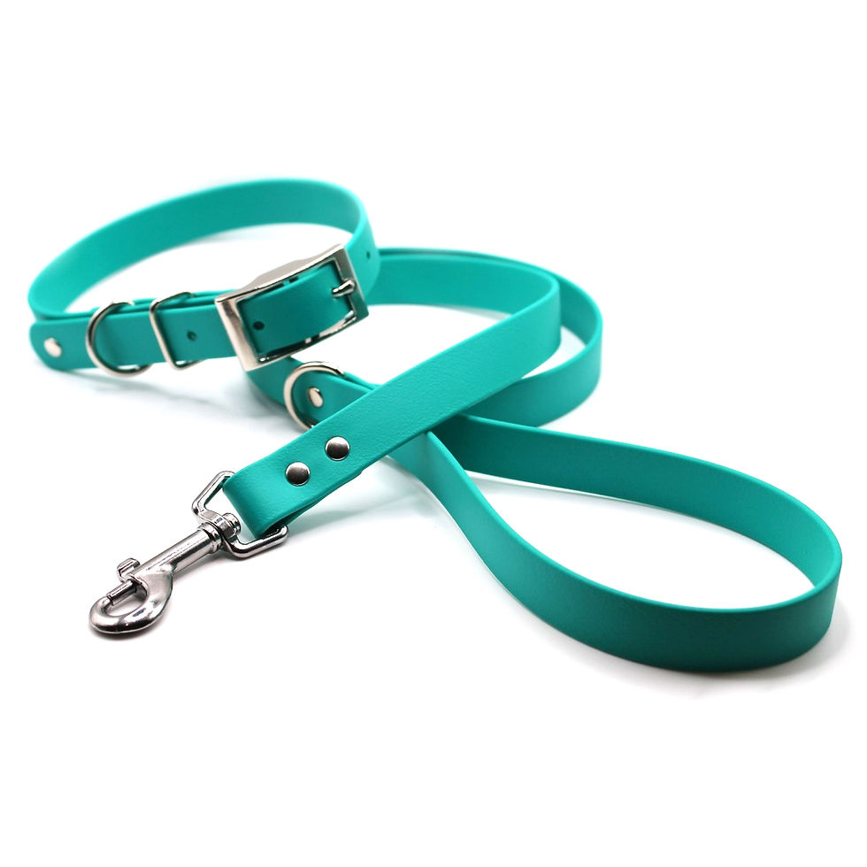 Thumbnail: Biothane® Dog Collar & 1m Lead/Leash SET