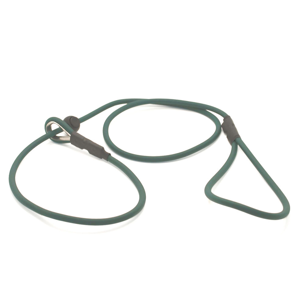 Thumbnail: BioThane® Round Slip Lead