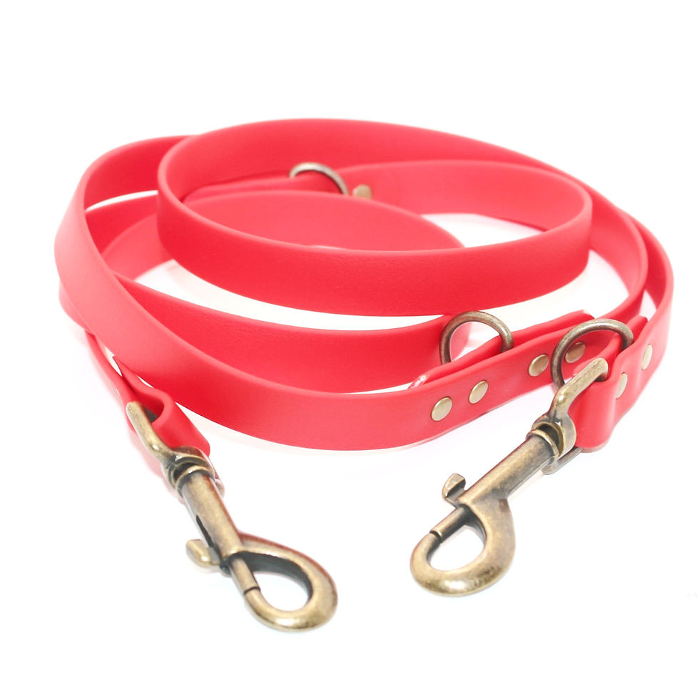 Thumbnail: BioThane® Training Lead - 1.8 metre