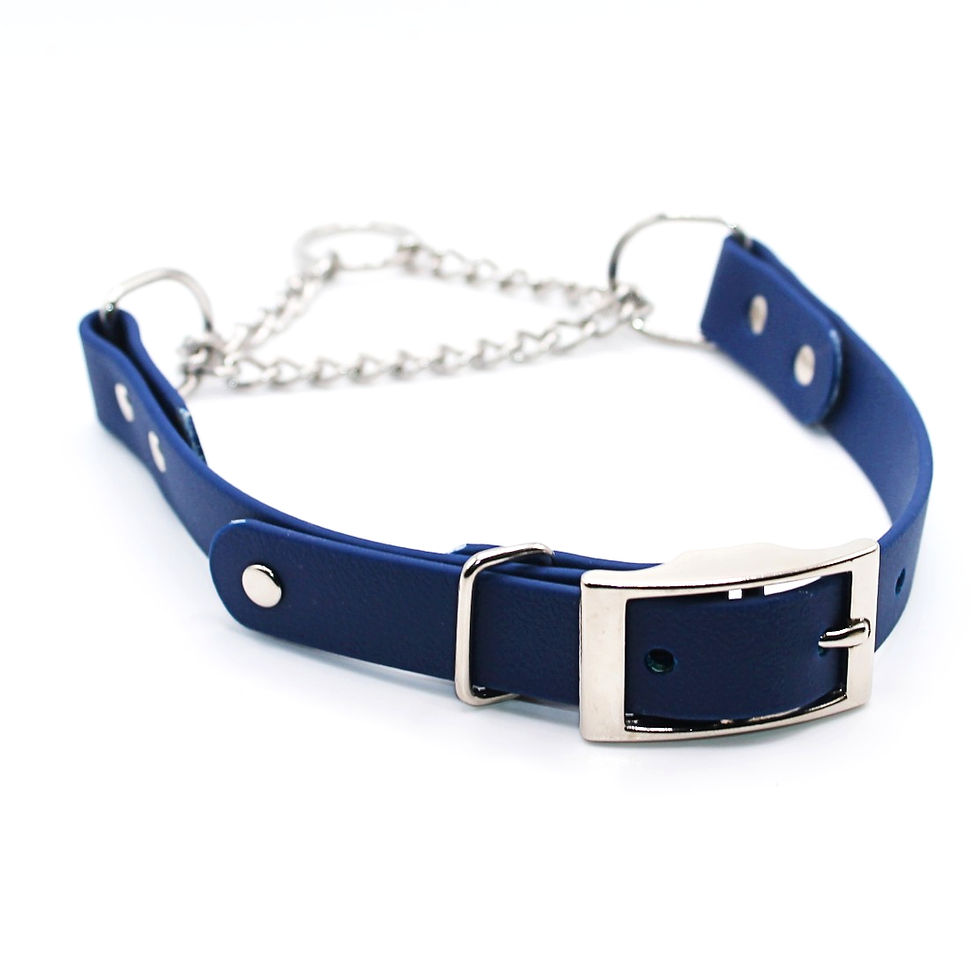 Thumbnail: BioThane® Adjustable Half Check/ Martingale Collar