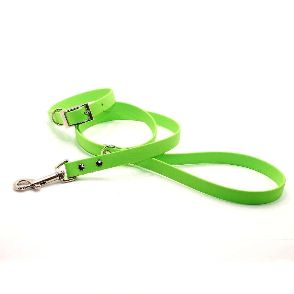 Thumbnail: Biothane® Dog Collar & 1m Lead/Leash SET