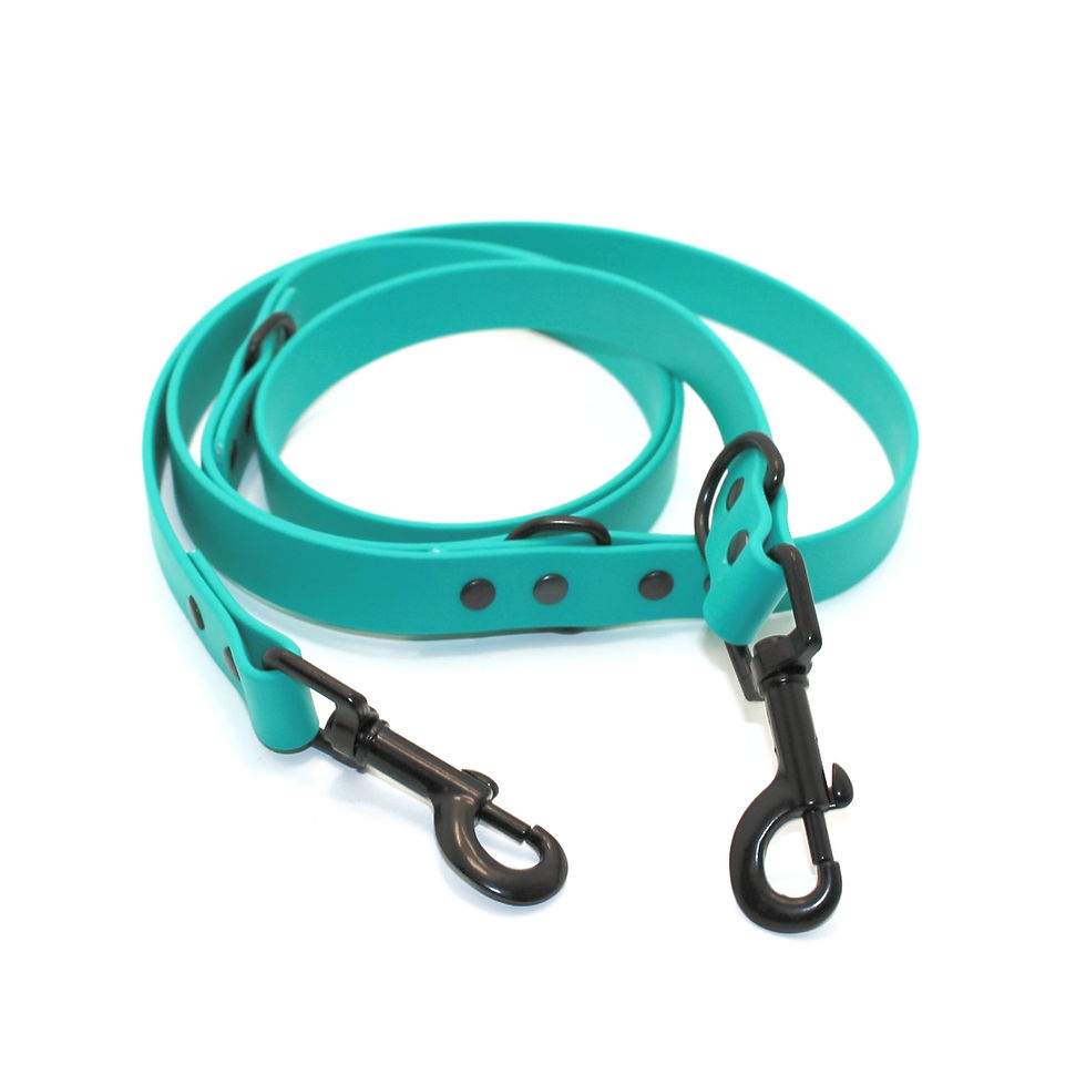 Thumbnail: BioThane® Training Lead - 1.8 metre