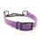 Thumbnail: BioThane® Adjustable Half Check/ Martingale Collar (Black Hardware)